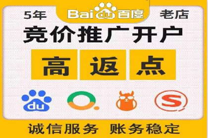 抖音信息流广告的投放策略与成功案例分析